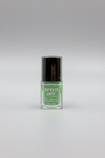 T&T Speed Dry NAIL LACQUER 12PC Inner Green