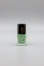 T&T Speed Dry NAIL LACQUER 12PC Inner Green