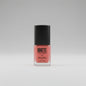 T&T MATT NAIL LACQUER 12PC Inner - Dark Brown