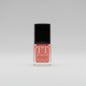 T&T Classic NAIL LACQUER 12PC Inner - Tangerine