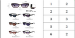 5244 SUNGLASSES (20PC Carton)