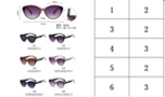 5256 SUNGLASSES (20PC Carton)