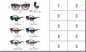 5010 SUNGLASSES (20PC Inner)