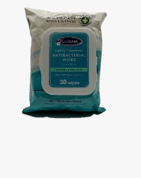 Wet Wipes (30PC Carton)